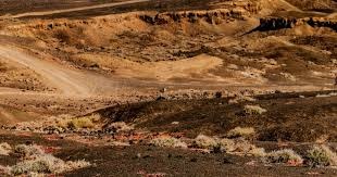 韩媒：孙兴慜前女友涉嫌多次对其敲诈，检方希望判她5年